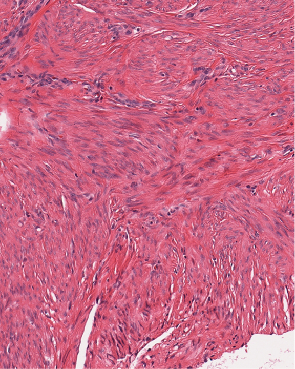 source-100-percent source-100-percent